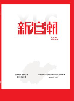 新浪潮期刊